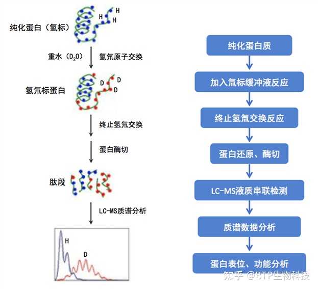 质谱图谱解析_质谱图_质谱图怎么看