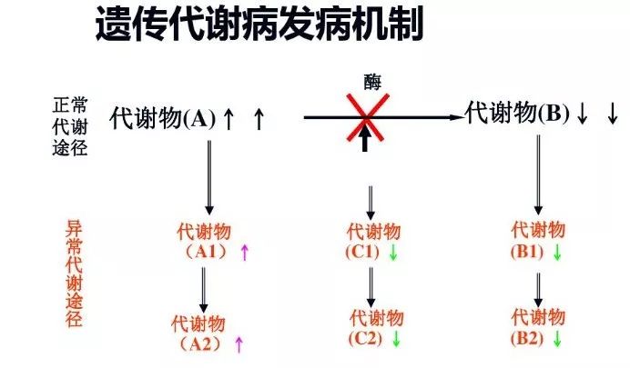质谱检测公司_质谱检测_质谱检测的一般流程