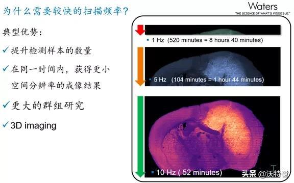 检测质谱多少钱_检测质谱图_质谱检测
