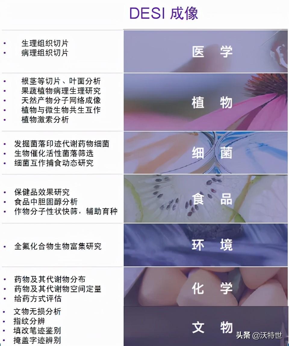检测质谱图_检测质谱多少钱_质谱检测
