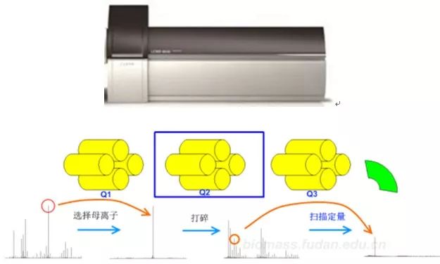 质谱级和色谱级区别_质谱级甲酸_一级质谱和二级质谱